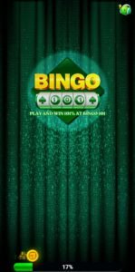 BINGO 101