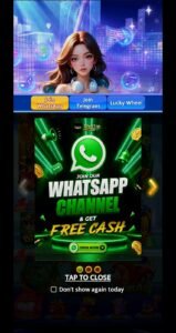 DIWA TOP