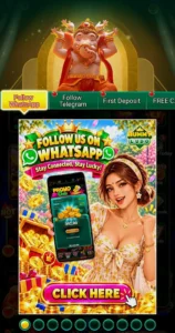 RUMMY LUDO